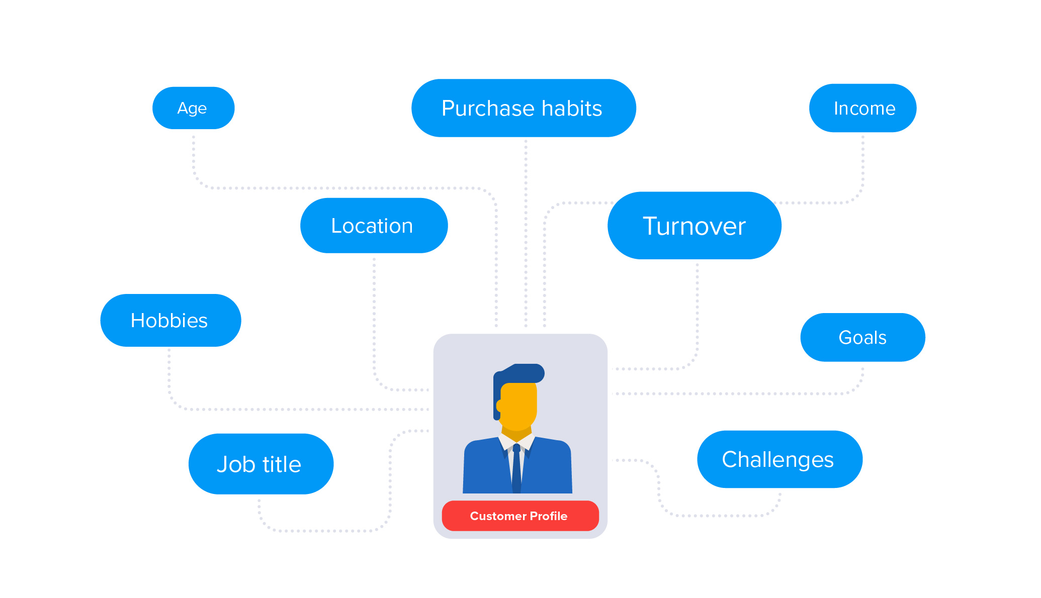 Customer profile demographics, interests and firmographics