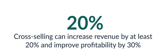 Cross-selling increase revenue